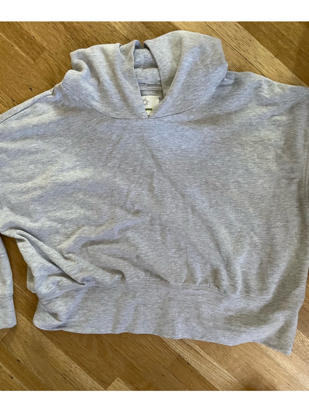 Aerie Oversized Hoodie relaxed fit gray simple neutral staple comfy soft